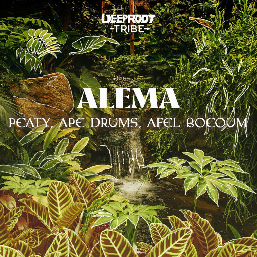 Ape Drums, Afel Bocoum, PEATY, Alema, cover art