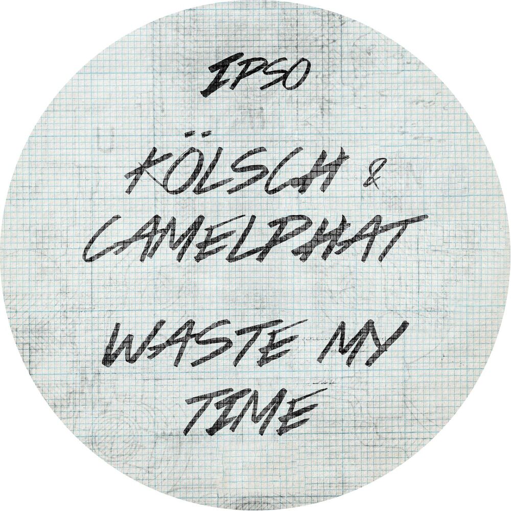 CamelPhat, Kolsch, Waste my time, cover art