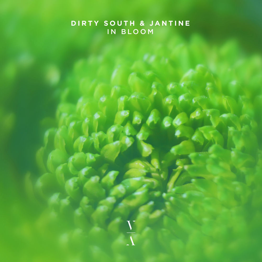 Dirty South, Jantine, In Bloom, cover art