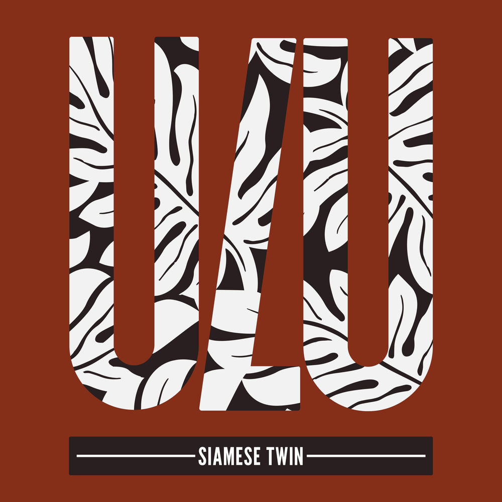 Robin M, Siamese Twin, cover art