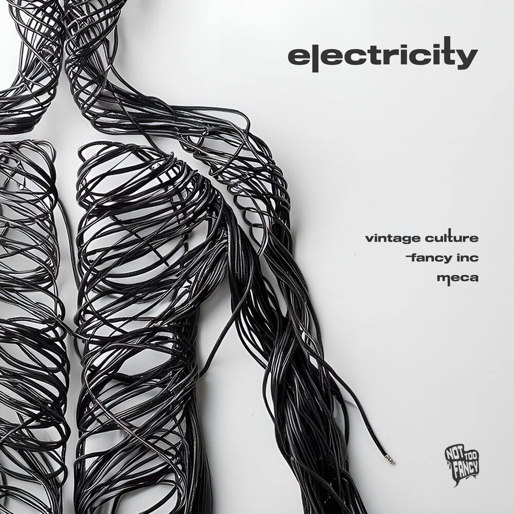 Vintage Culture, Fancy Inc, Meca, Electricity, cover art